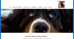 Desktop Screenshot of bernersennenhond.nl